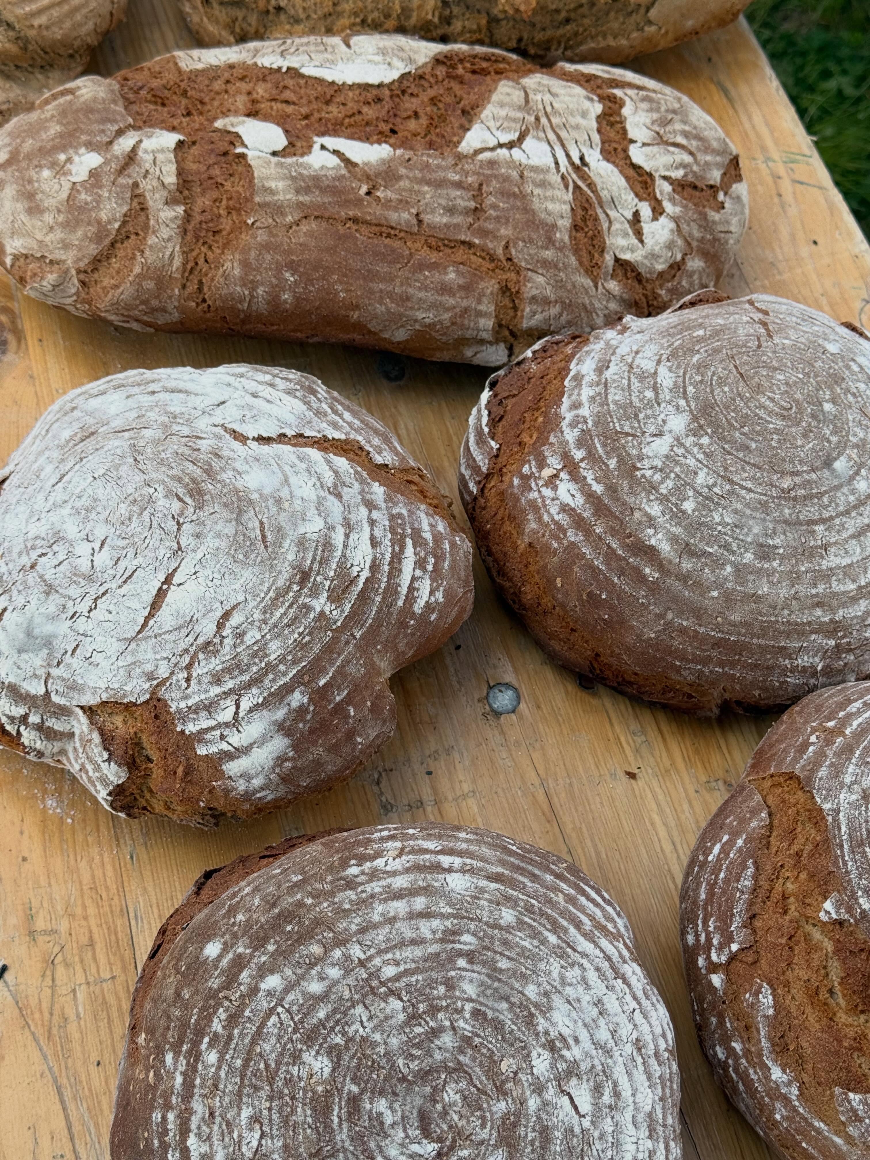 Frisch gebackene Brotlaibe aus dem historischen Brotofen